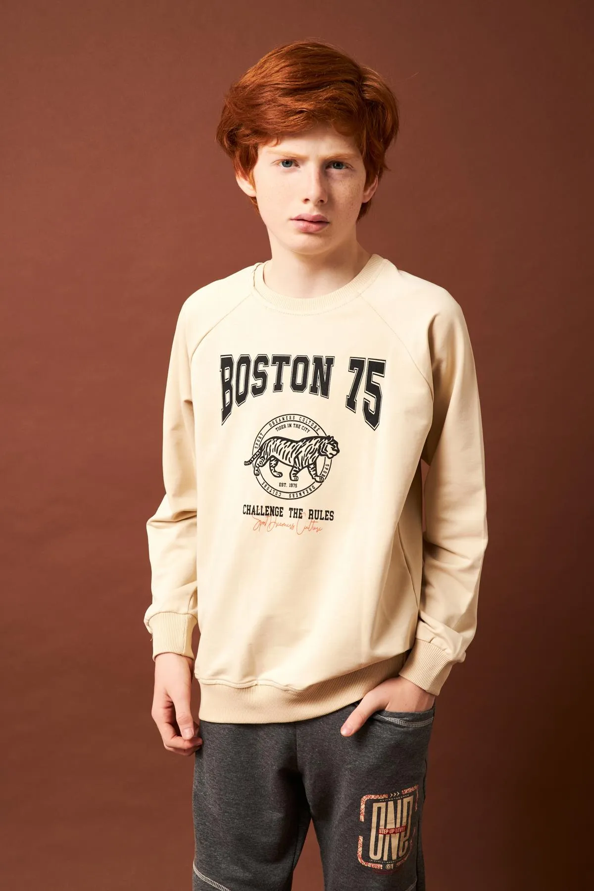 boston baskili erkek çocuk sweatshirt