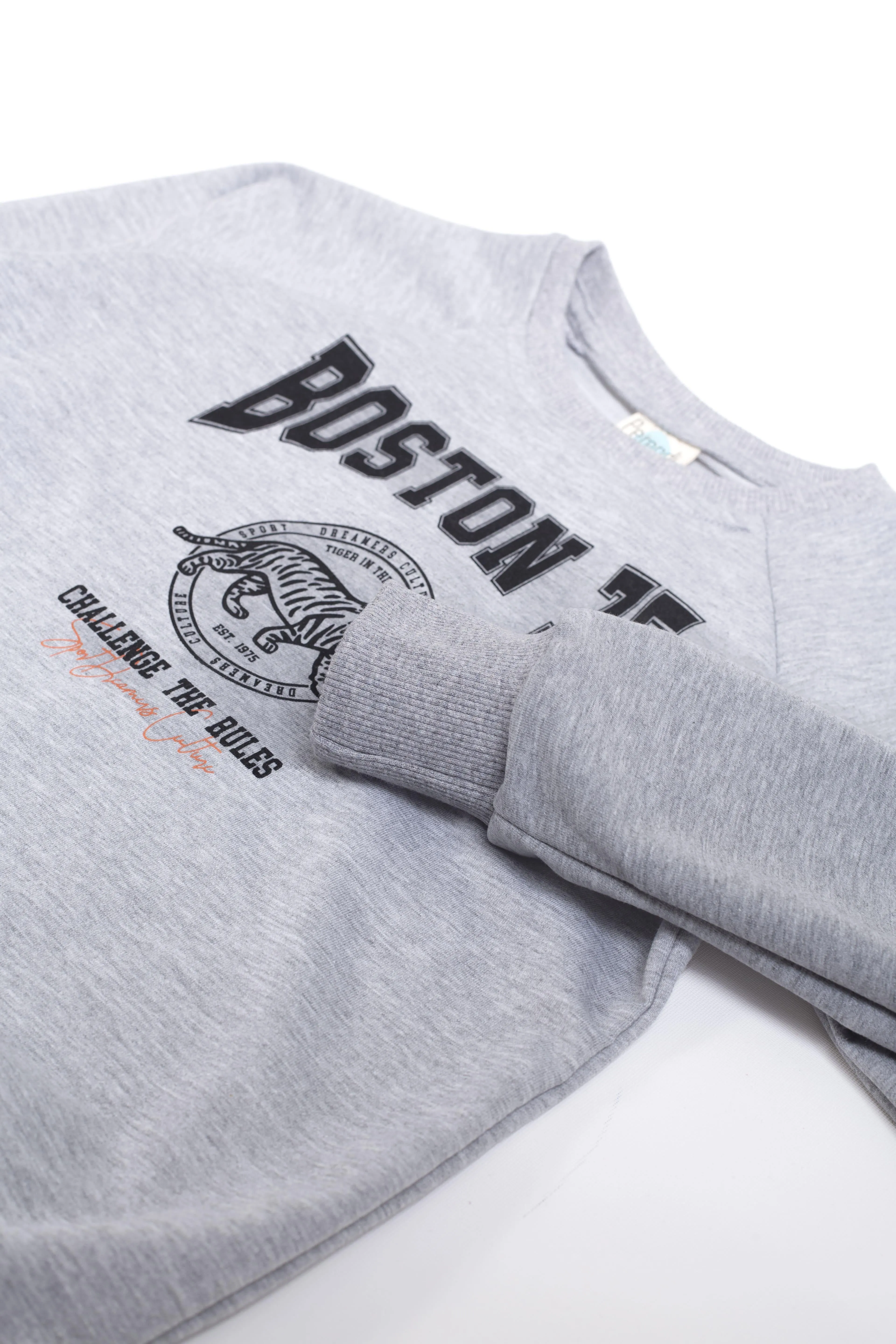 boston baskili erkek çocuk sweatshirt