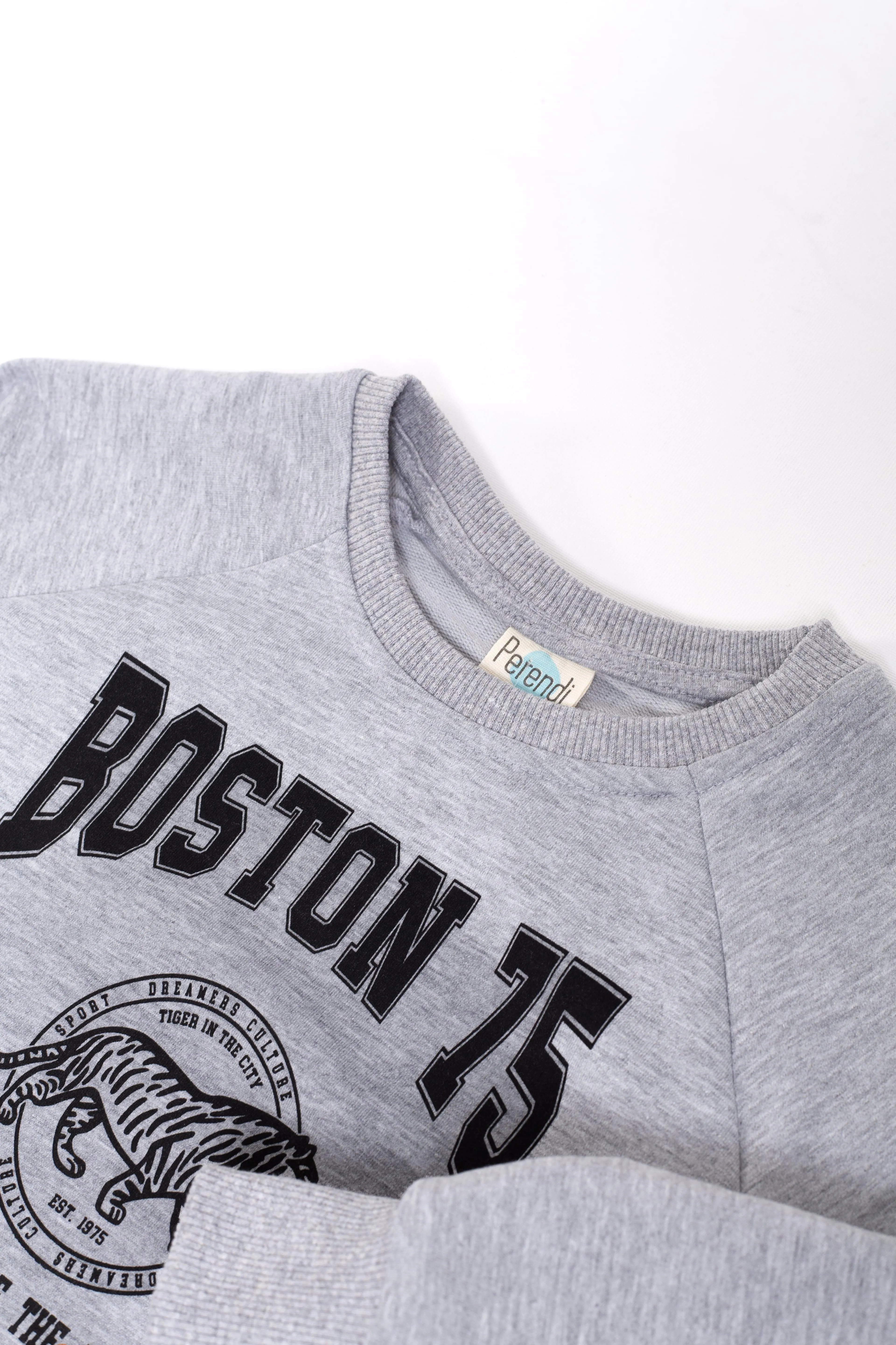 boston baskili erkek çocuk sweatshirt
