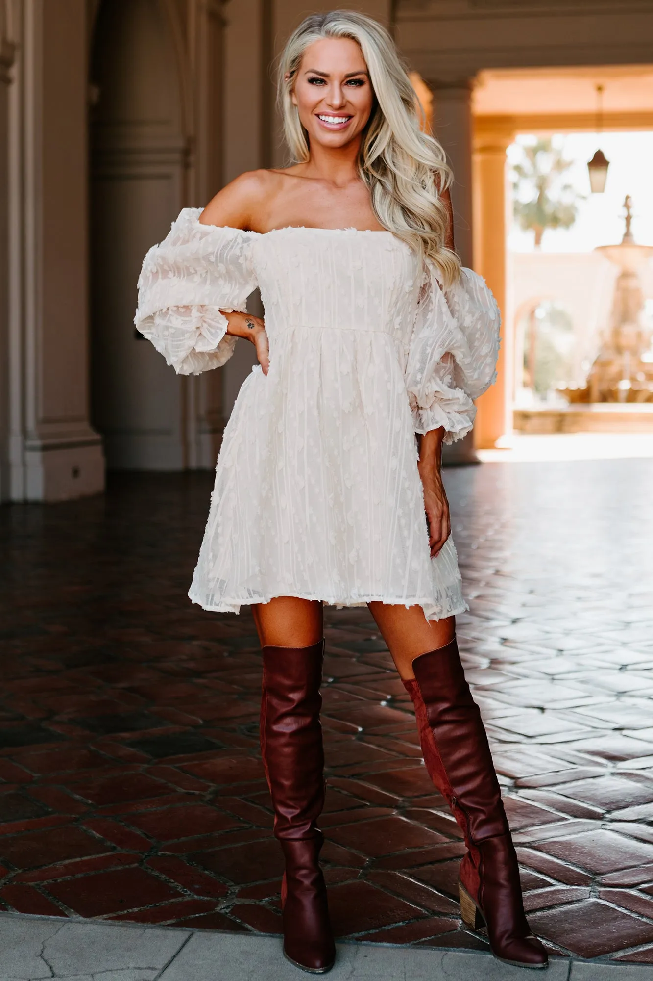 Clementine Embroidered Mesh Babydoll Dress (Ivory)