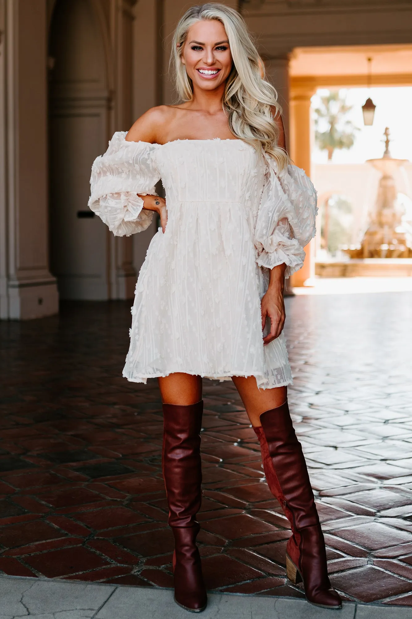 Clementine Embroidered Mesh Babydoll Dress (Ivory)