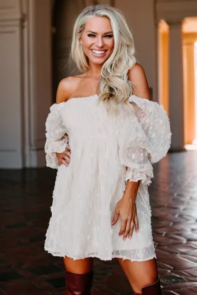 Clementine Embroidered Mesh Babydoll Dress (Ivory)