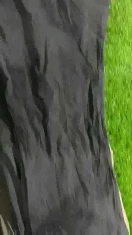 DICKIES PANTS IN 20 KG