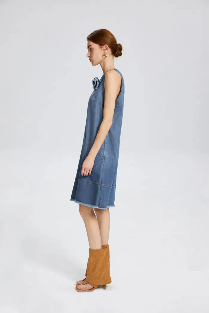 Miranda Embellished Dress in Cotton Lyocell Denim