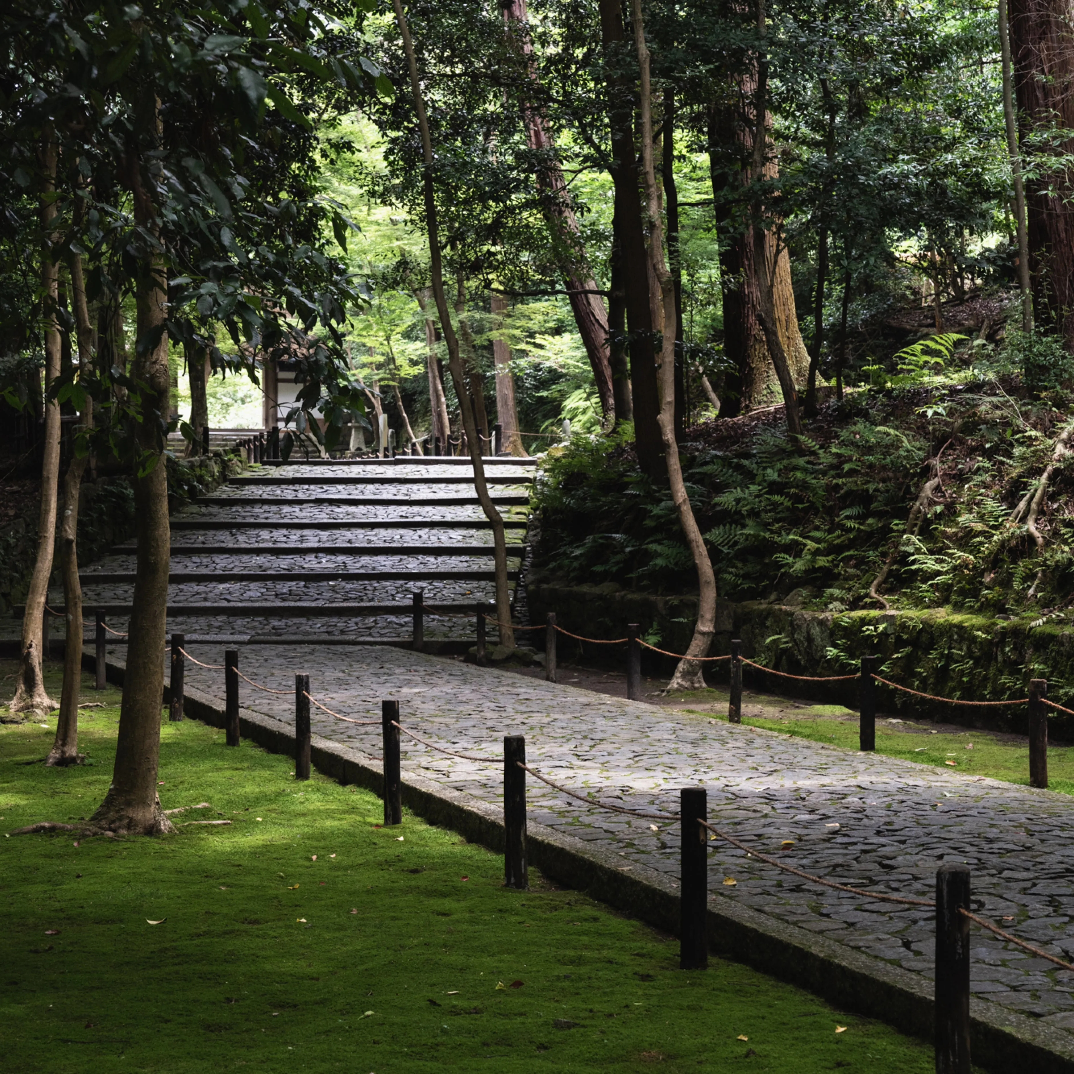 The Kintsugi Journey